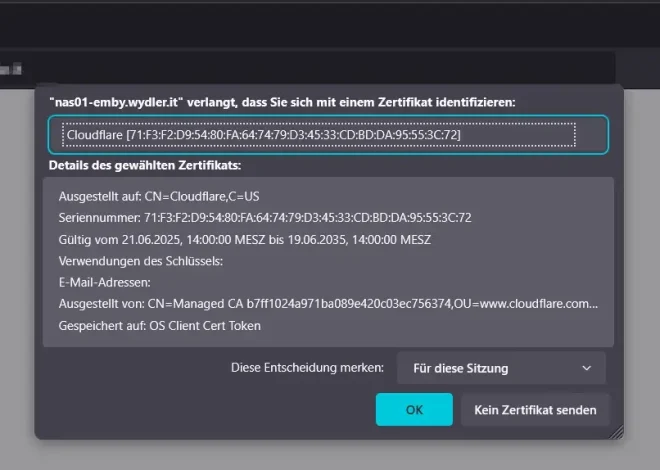Webseite mit Client Zertifikat und mTLS schützen