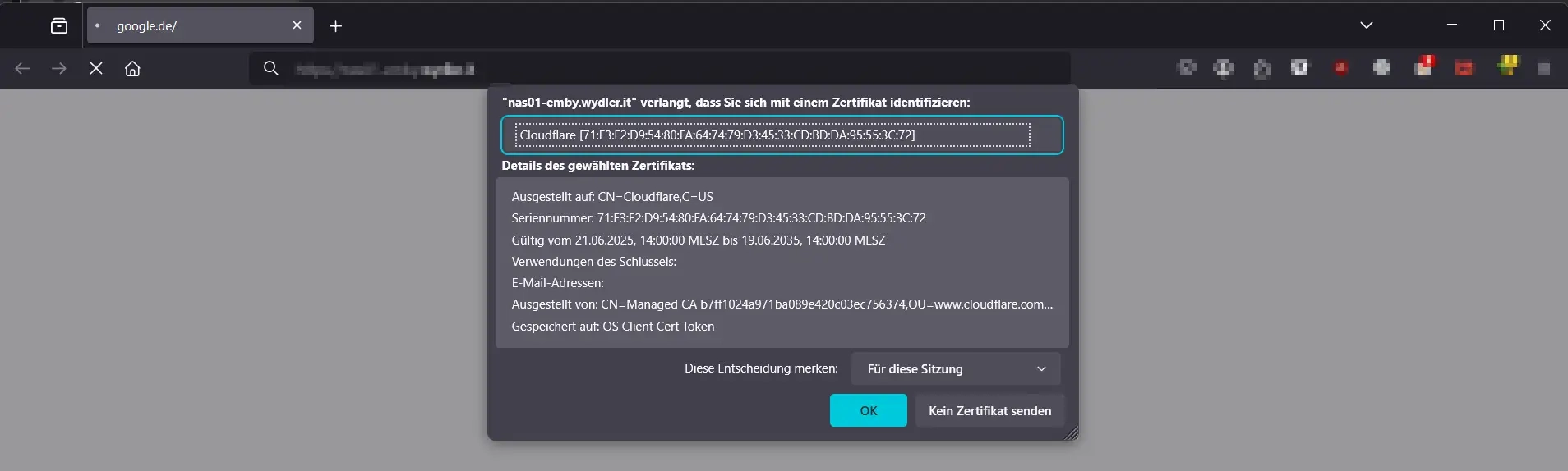 Webseite mit Client Zertifikat und mTLS schützen